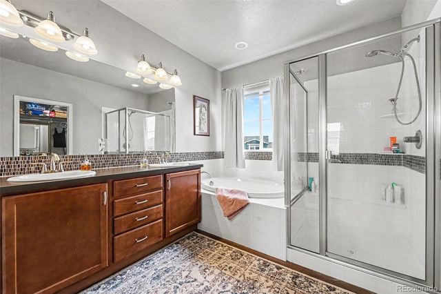3787 Ghost Dance Drive, Castle Rock, CO 80108