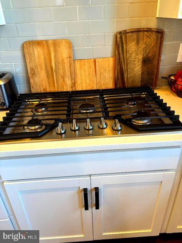 6425 HIBISCUS PATH TER, Haymarket, VA 20169