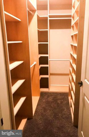 6425 HIBISCUS PATH TER, Haymarket, VA 20169