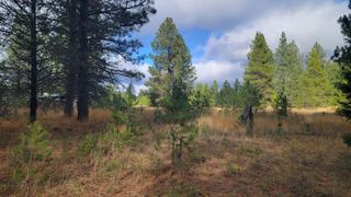 652 Jorgens Rd, Newport, WA 99156