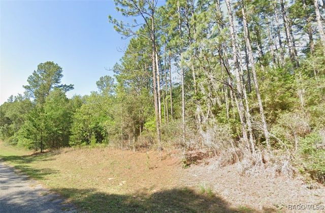 9318 N Lily Drive, Citrus Springs, FL 34434