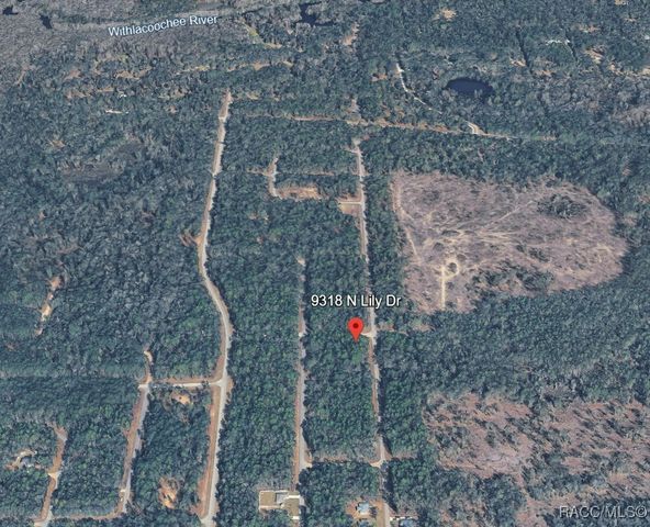 9318 N Lily Drive, Citrus Springs, FL 34434