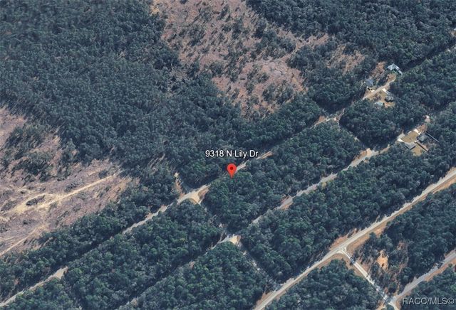 9318 N Lily Drive, Citrus Springs, FL 34434