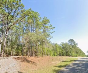 9318 N Lily Drive, Citrus Springs, FL 34434