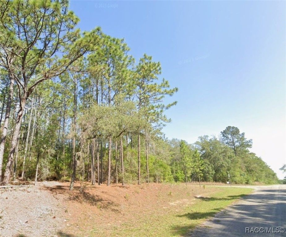 9318 N Lily Drive, Citrus Springs, FL 34434