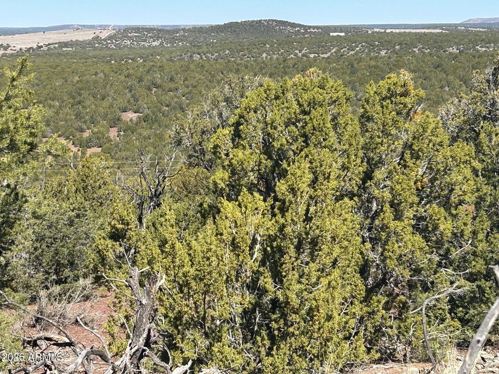 Image 1 of property listing at lot 80 Ranch Road 80, Vernon, AZ 85940