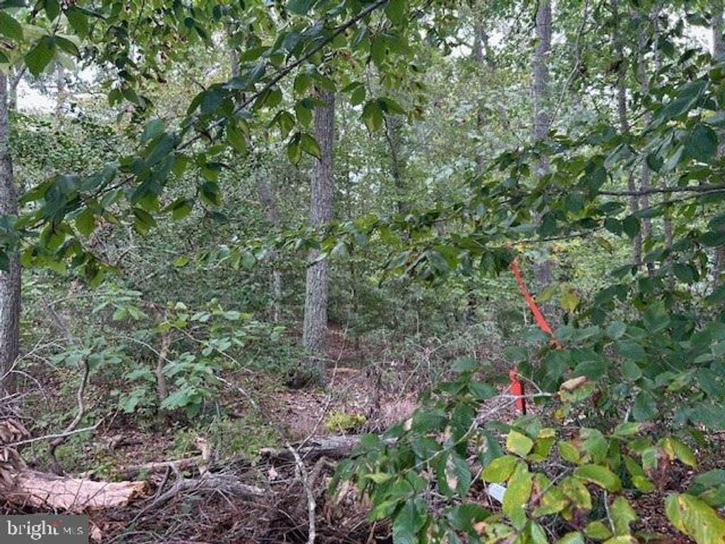 11504 DURANGO DR, Lusby, MD 20657