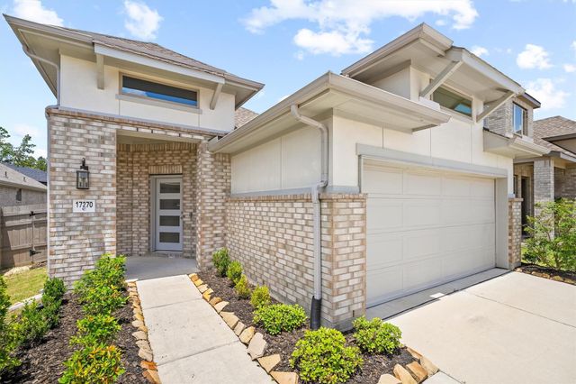 17270 Wild Watermelon Way, Conroe, TX 77302