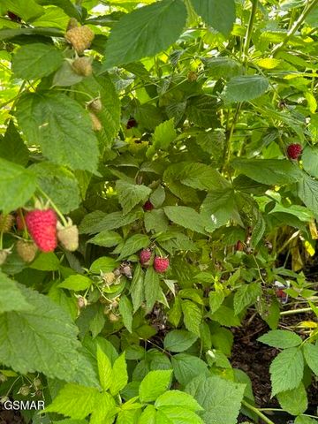 4009 Fieldstone Lane, Cosby, TN 37722