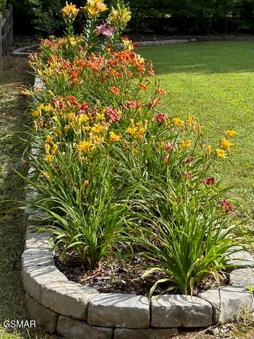 4009 Fieldstone Lane, Cosby, TN 37722