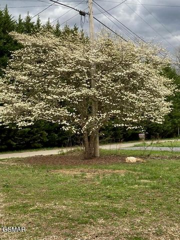 4009 Fieldstone Lane, Cosby, TN 37722