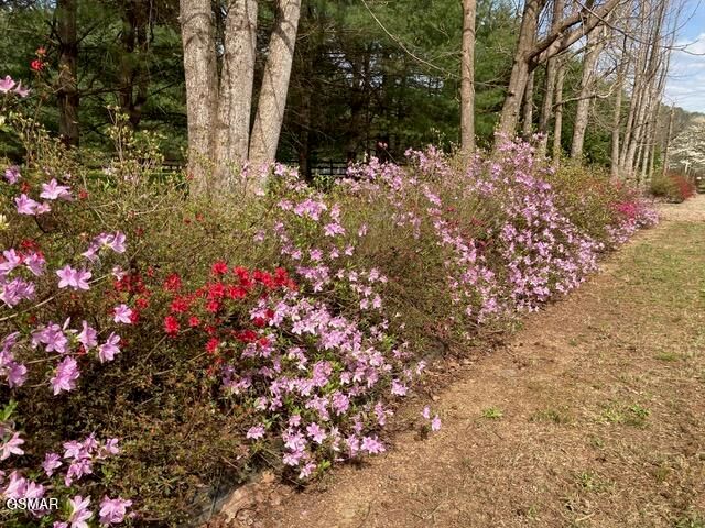 4009 Fieldstone Lane, Cosby, TN 37722