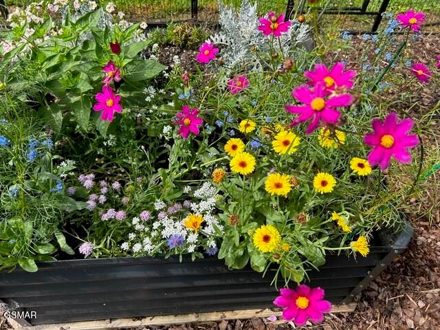 4009 Fieldstone Lane, Cosby, TN 37722