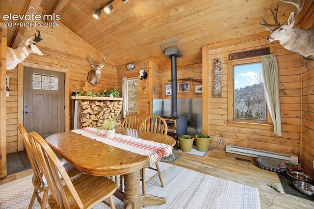 715 W Bison Creek Trail, Florissant, CO 80816