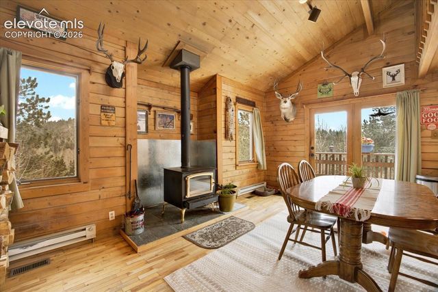715 W Bison Creek Trail, Florissant, CO 80816
