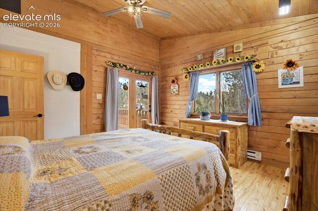 715 W Bison Creek Trail, Florissant, CO 80816