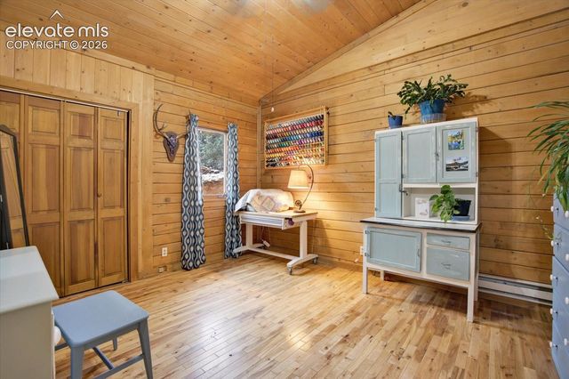 715 W Bison Creek Trail, Florissant, CO 80816