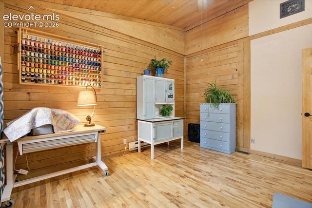 715 W Bison Creek Trail, Florissant, CO 80816