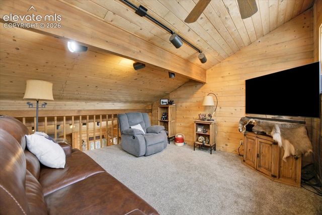 715 W Bison Creek Trail, Florissant, CO 80816