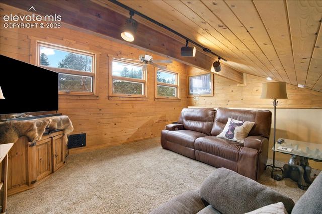715 W Bison Creek Trail, Florissant, CO 80816