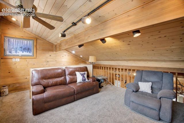 715 W Bison Creek Trail, Florissant, CO 80816