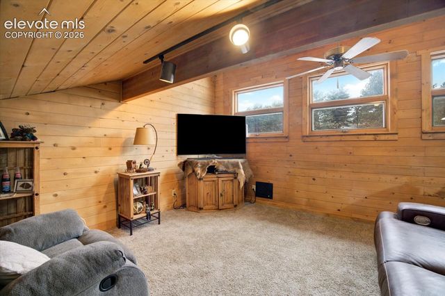 715 W Bison Creek Trail, Florissant, CO 80816