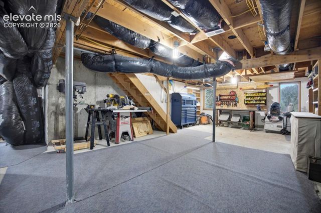 715 W Bison Creek Trail, Florissant, CO 80816