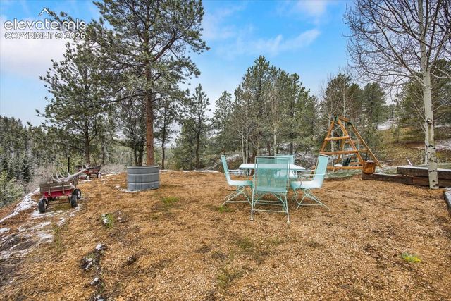 715 W Bison Creek Trail, Florissant, CO 80816