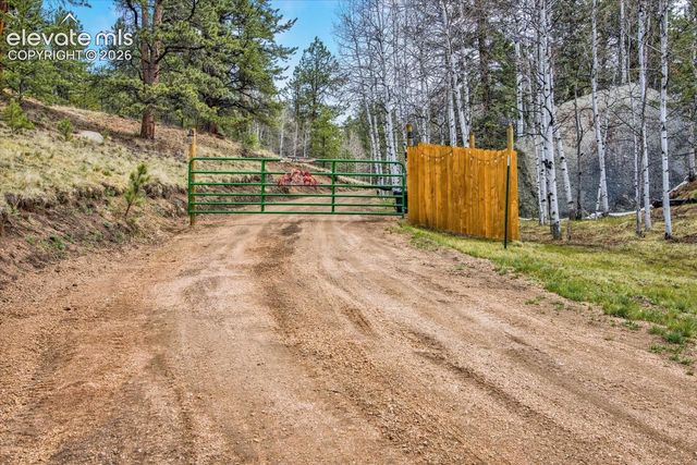 715 W Bison Creek Trail, Florissant, CO 80816
