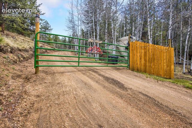 715 W Bison Creek Trail, Florissant, CO 80816
