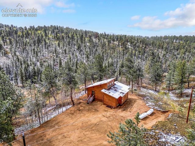 715 W Bison Creek Trail, Florissant, CO 80816