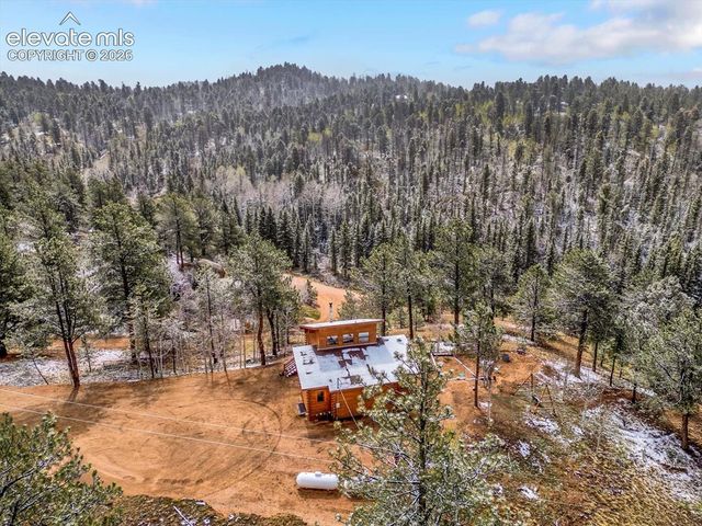 715 W Bison Creek Trail, Florissant, CO 80816