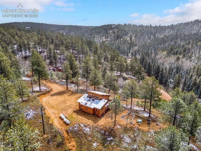 715 W Bison Creek Trail, Florissant, CO 80816