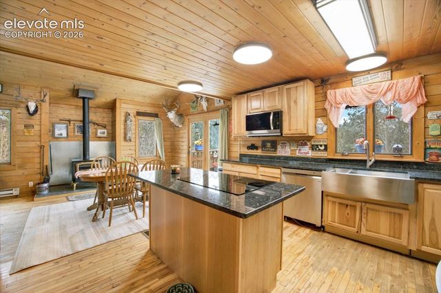 715 W Bison Creek Trail, Florissant, CO 80816