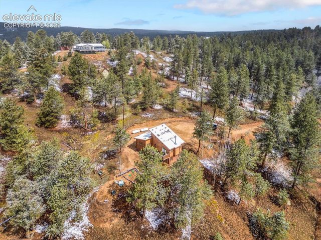 715 W Bison Creek Trail, Florissant, CO 80816