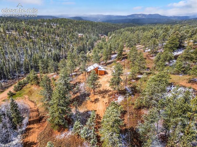 715 W Bison Creek Trail, Florissant, CO 80816