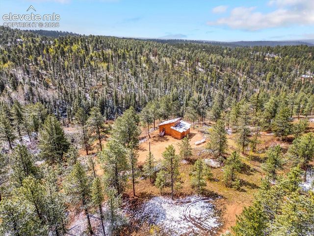 715 W Bison Creek Trail, Florissant, CO 80816