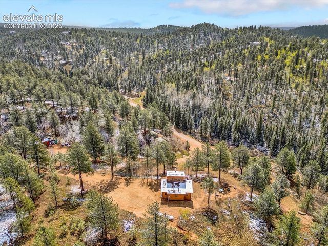 715 W Bison Creek Trail, Florissant, CO 80816
