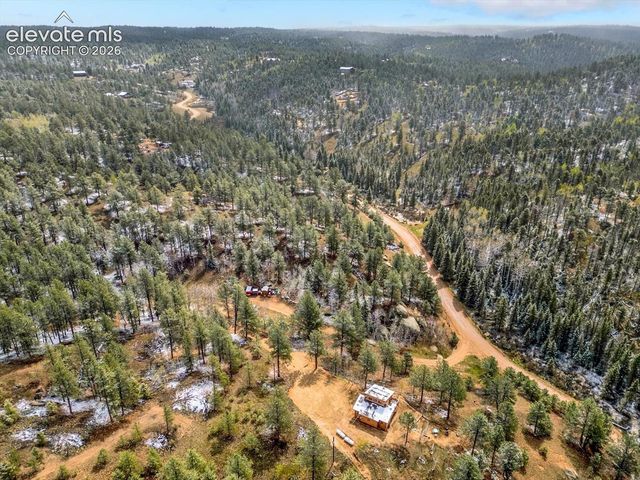 715 W Bison Creek Trail, Florissant, CO 80816