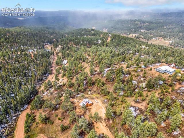 715 W Bison Creek Trail, Florissant, CO 80816