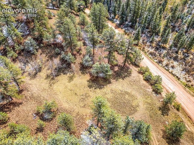 715 W Bison Creek Trail, Florissant, CO 80816