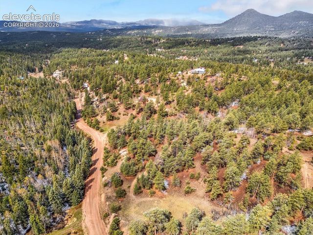 715 W Bison Creek Trail, Florissant, CO 80816