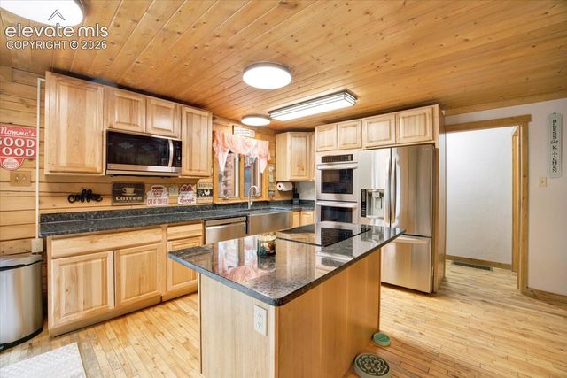 715 W Bison Creek Trail, Florissant, CO 80816