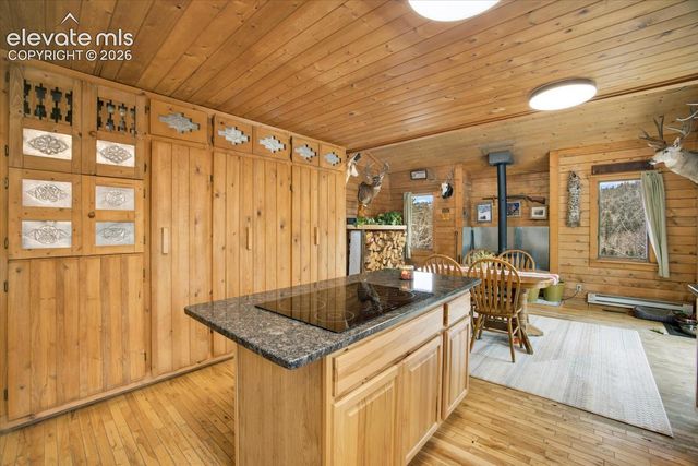 715 W Bison Creek Trail, Florissant, CO 80816