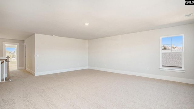 317 Still Shores Drive, Gilbert, SC 29054