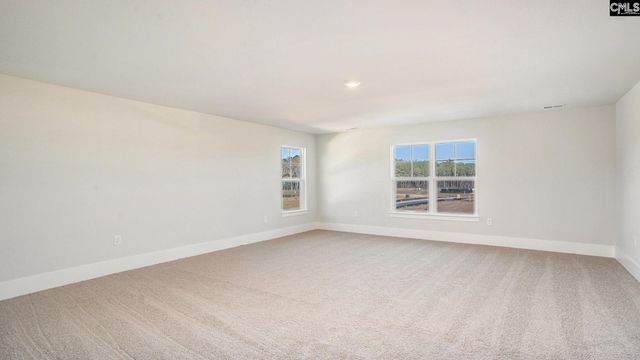 317 Still Shores Drive, Gilbert, SC 29054