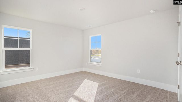 317 Still Shores Drive, Gilbert, SC 29054