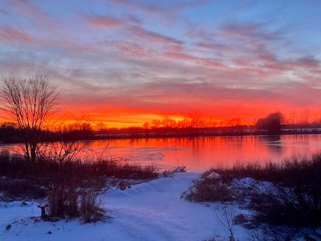 9975 Young Avenue Ne, Courtland Twp, MI 49341