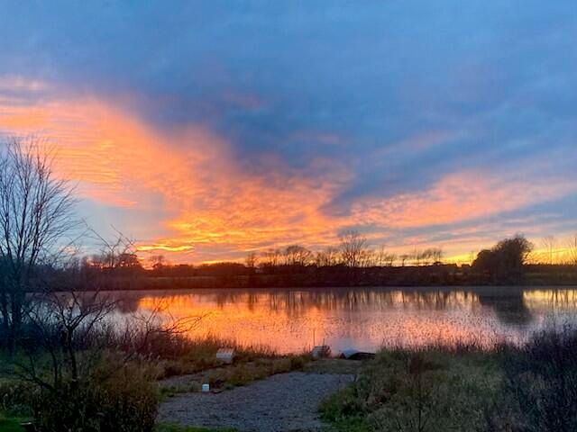 9975 Young Avenue Ne, Courtland Twp, MI 49341