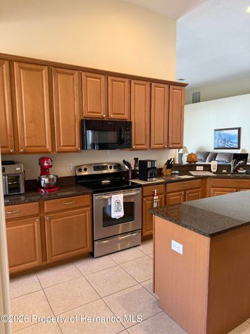 13531 Hunters Point Street, Spring Hill, FL 34608